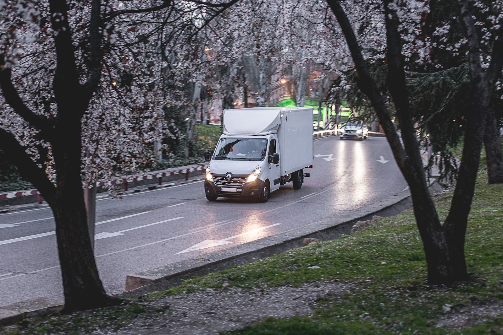 Delivery van travelling along a tree-lined road